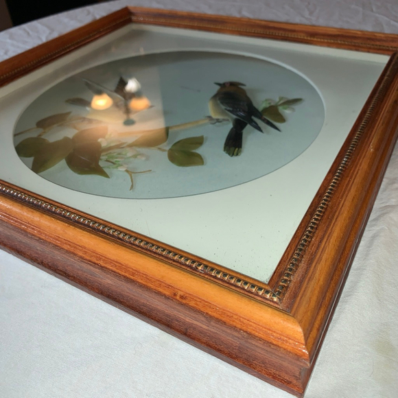 Handmade vintage Framed 3D Bird Sculpture Art, One Size, Light Blue & Brown - Picture 7 of 7